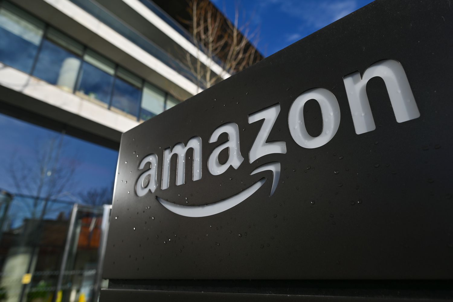 如果只能持有一只股票：为何Amazon是终极选择